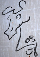Horse Graffiti Horse Graffiti