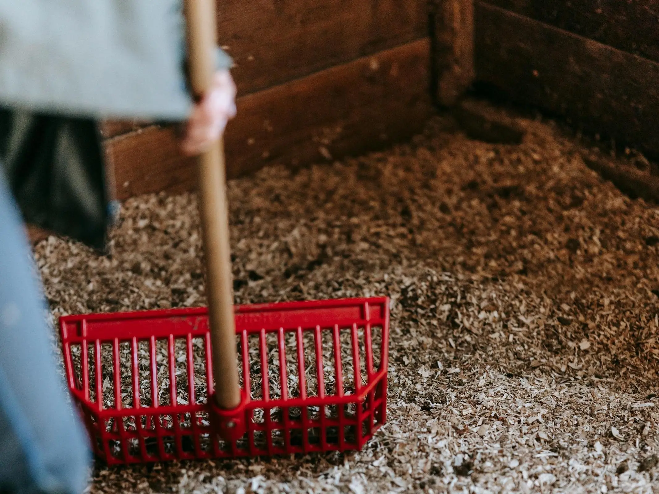Person cleaning a horse stall