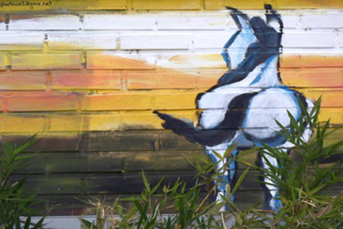 Equine Graffiti Equine Graffiti