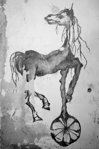 Equine Graffiti Equine Graffiti