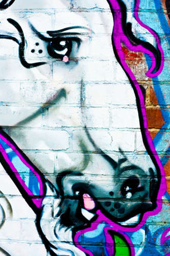 Equine Graffiti Equine Graffiti