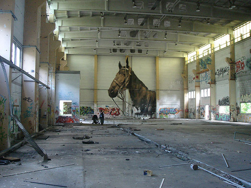 Horse Graffiti