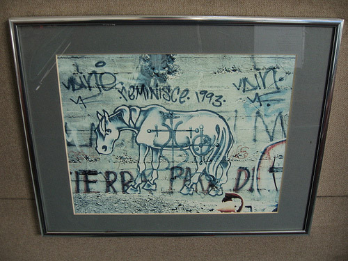 Horse Graffiti