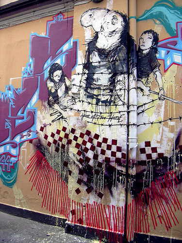 Horse Graffiti Horse Graffiti