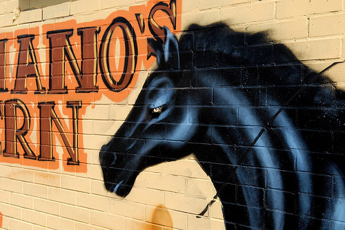 Horse Graffiti