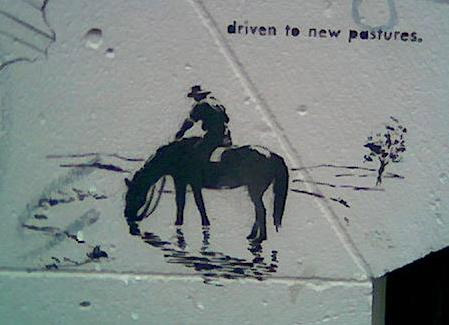 Horse Graffiti