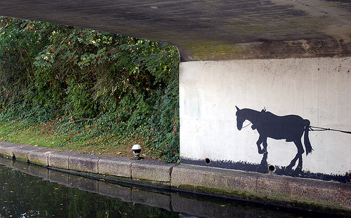Horse Graffiti