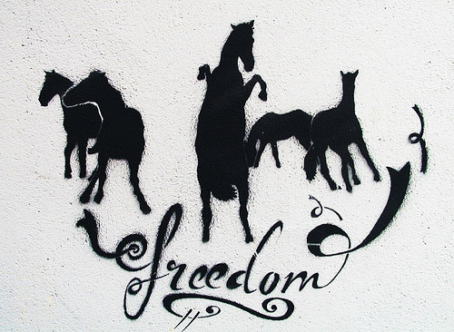 Horse Graffiti