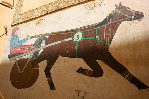 Horse Graffiti