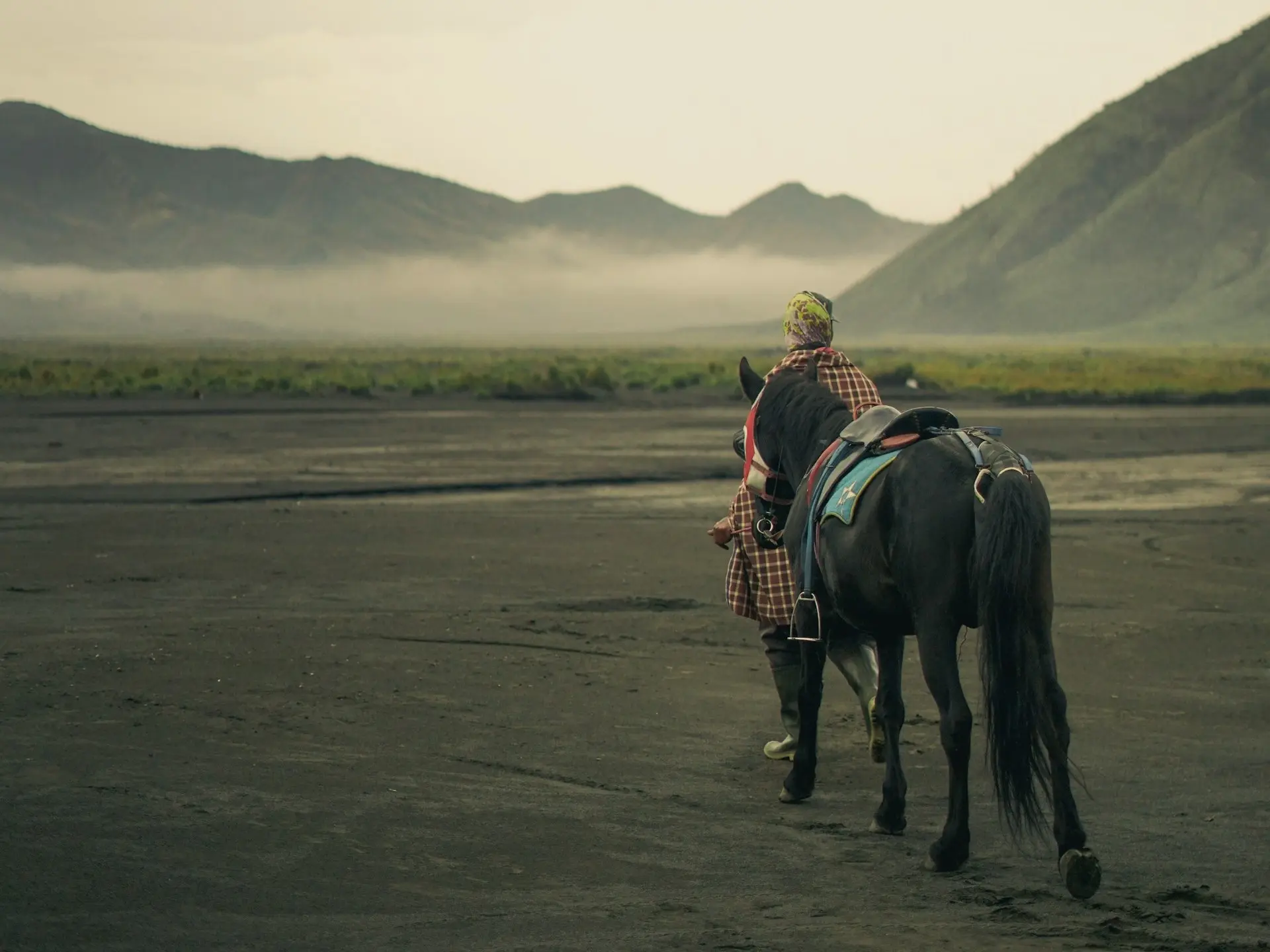 Sumba Pony
