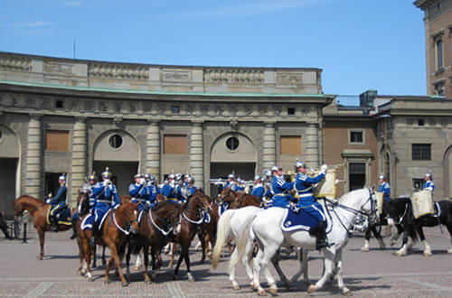 Horses in Sweden Horses in Sweden