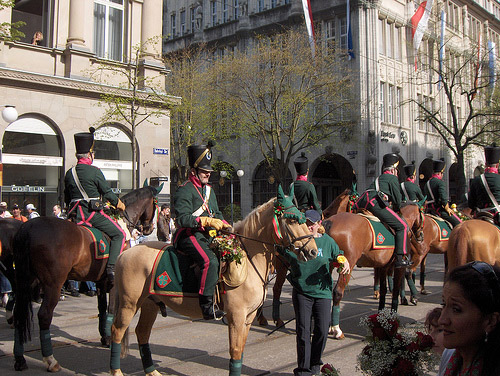Horses in Zurich, Switzerland Horse in Switzerland