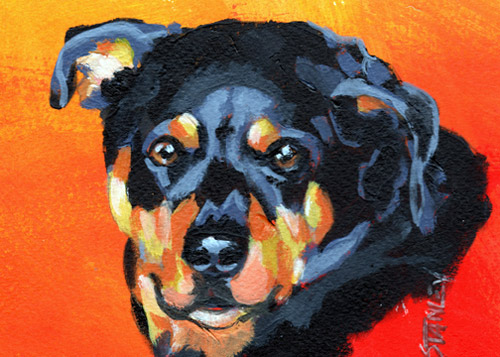 Terry Stanley Dog Portrait