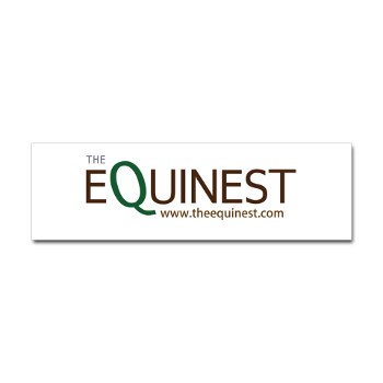 The Equinest Bumper Sticker