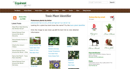 Toxic Plant Identifier Screenshot
