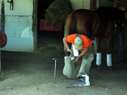 horse with blacksmith