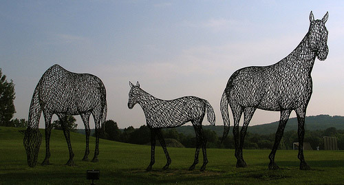 Unusual Horse Art