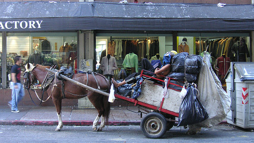 Horse in Uruguay Horse in Uruguay