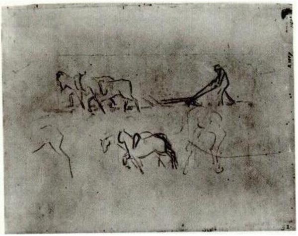 Sketches of Pheasant Plowing with Horses