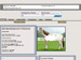 Equine Ranch