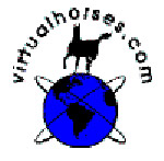 Virtual Horse logo Virtual Horse logo