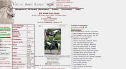 Virtual Horse Ranch Virtual Horse Ranch