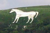 White chalk horse on a hillside