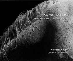 White Horses - From the Literal to the Sublime