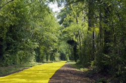 Yellow Brick Road