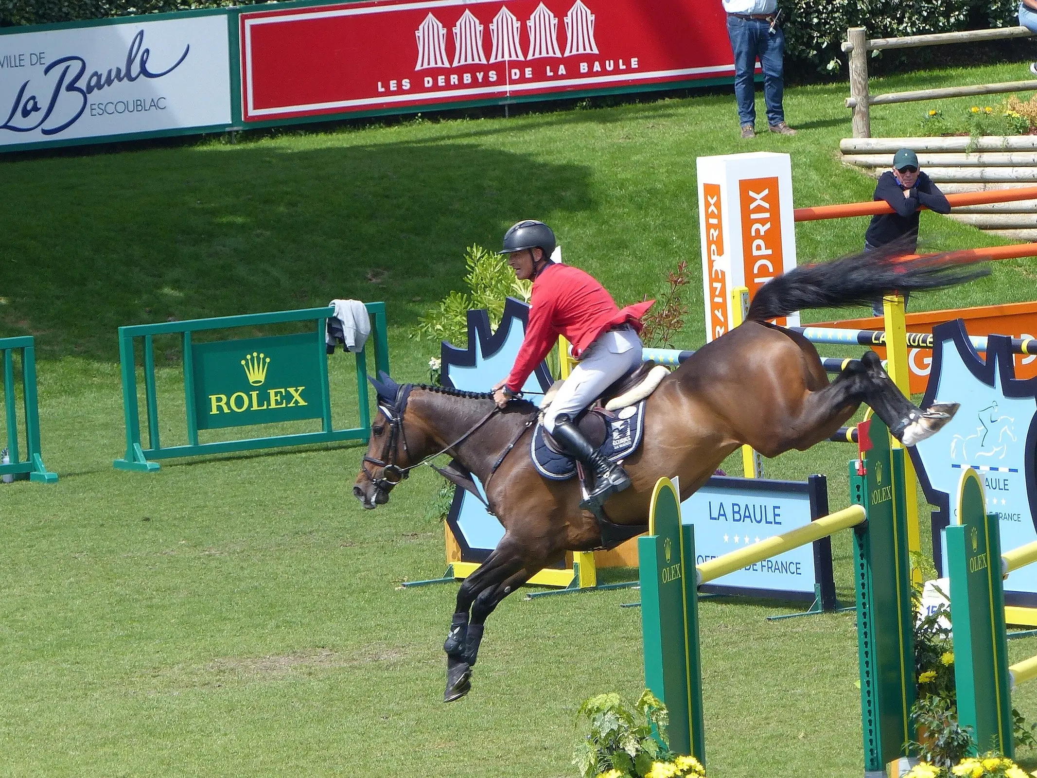 Zangersheide Horse